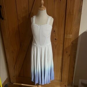 White and Blue Ombre costume with corset top